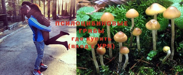 винт Медногорск