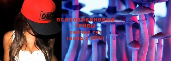 винт Медногорск