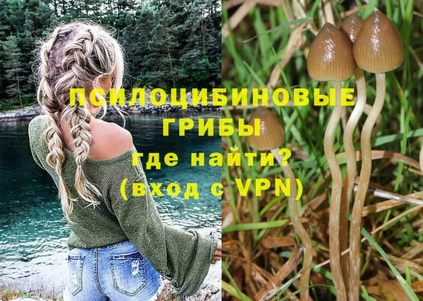 ALPHA PVP Мегион