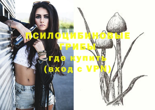 меф Медвежьегорск