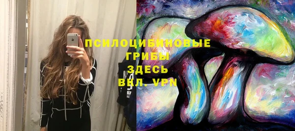 ALPHA PVP Мегион