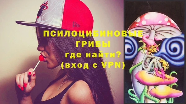меф Медвежьегорск
