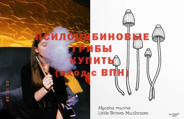 ALPHA PVP Мегион