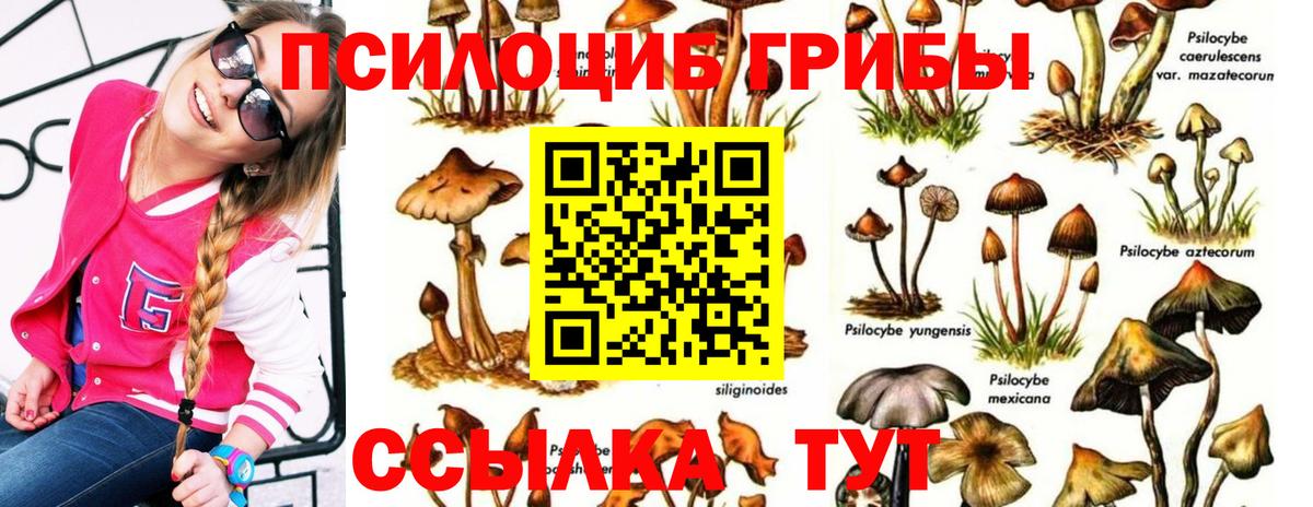 Галлюциногенные грибы мухоморы Новосибирск