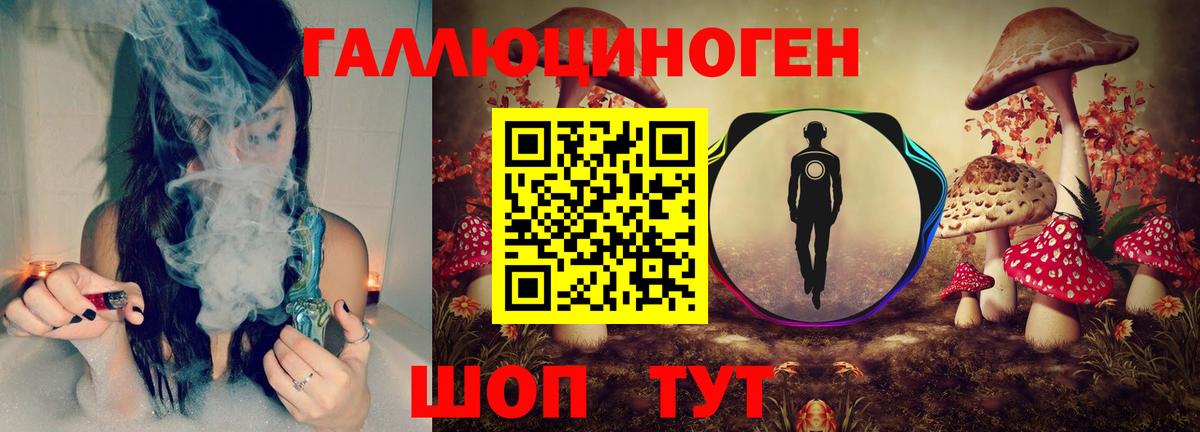 Галлюциногенные грибы GOLDEN TEACHER  Вход с VPN  Новосибирск 