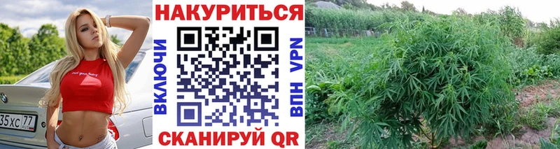 Шишки марихуана OG Kush  наркота  Новосибирск 
